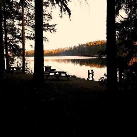 Cozy Stuga - Mountain View Ramsele Zewnętrze zdjęcie