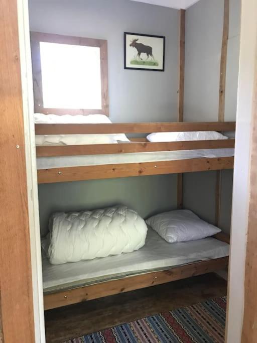Cozy Stuga - Mountain View Ramsele Zewnętrze zdjęcie