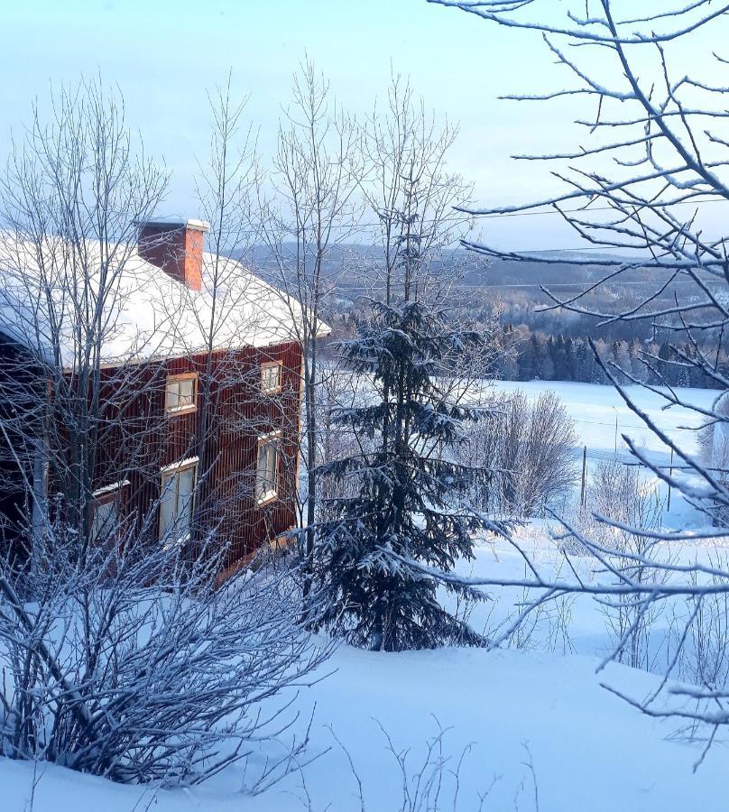 Cozy Stuga - Mountain View Ramsele Zewnętrze zdjęcie