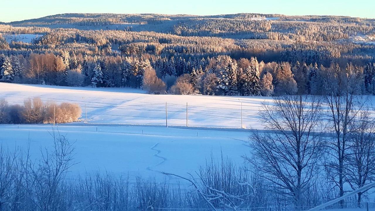 Cozy Stuga - Mountain View Ramsele Zewnętrze zdjęcie