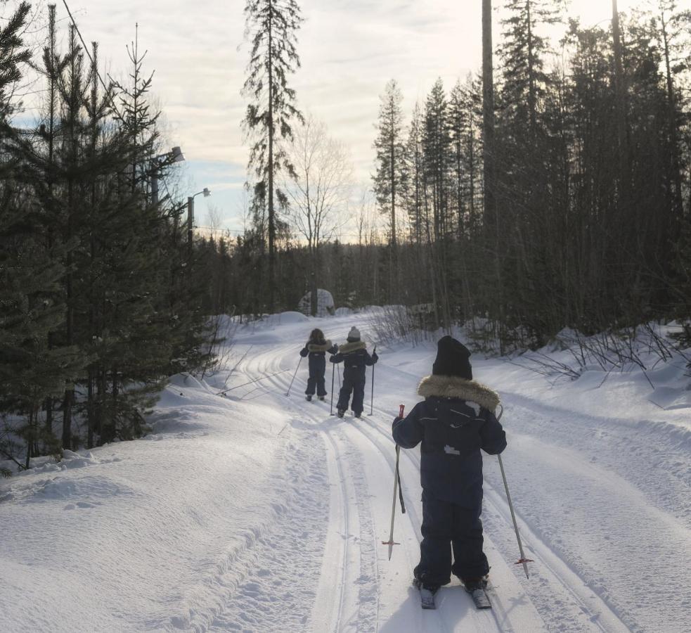 Cozy Stuga - Mountain View Ramsele Zewnętrze zdjęcie