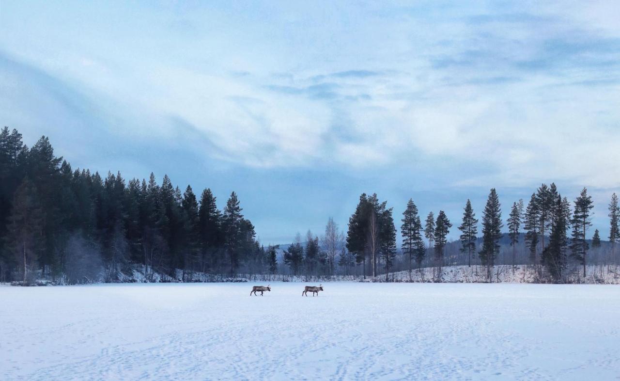 Cozy Stuga - Mountain View Ramsele Zewnętrze zdjęcie