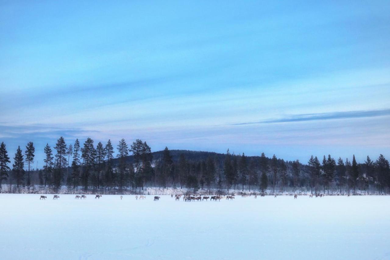 Cozy Stuga - Mountain View Ramsele Zewnętrze zdjęcie