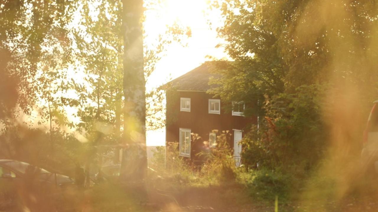Cozy Stuga - Mountain View Ramsele Zewnętrze zdjęcie