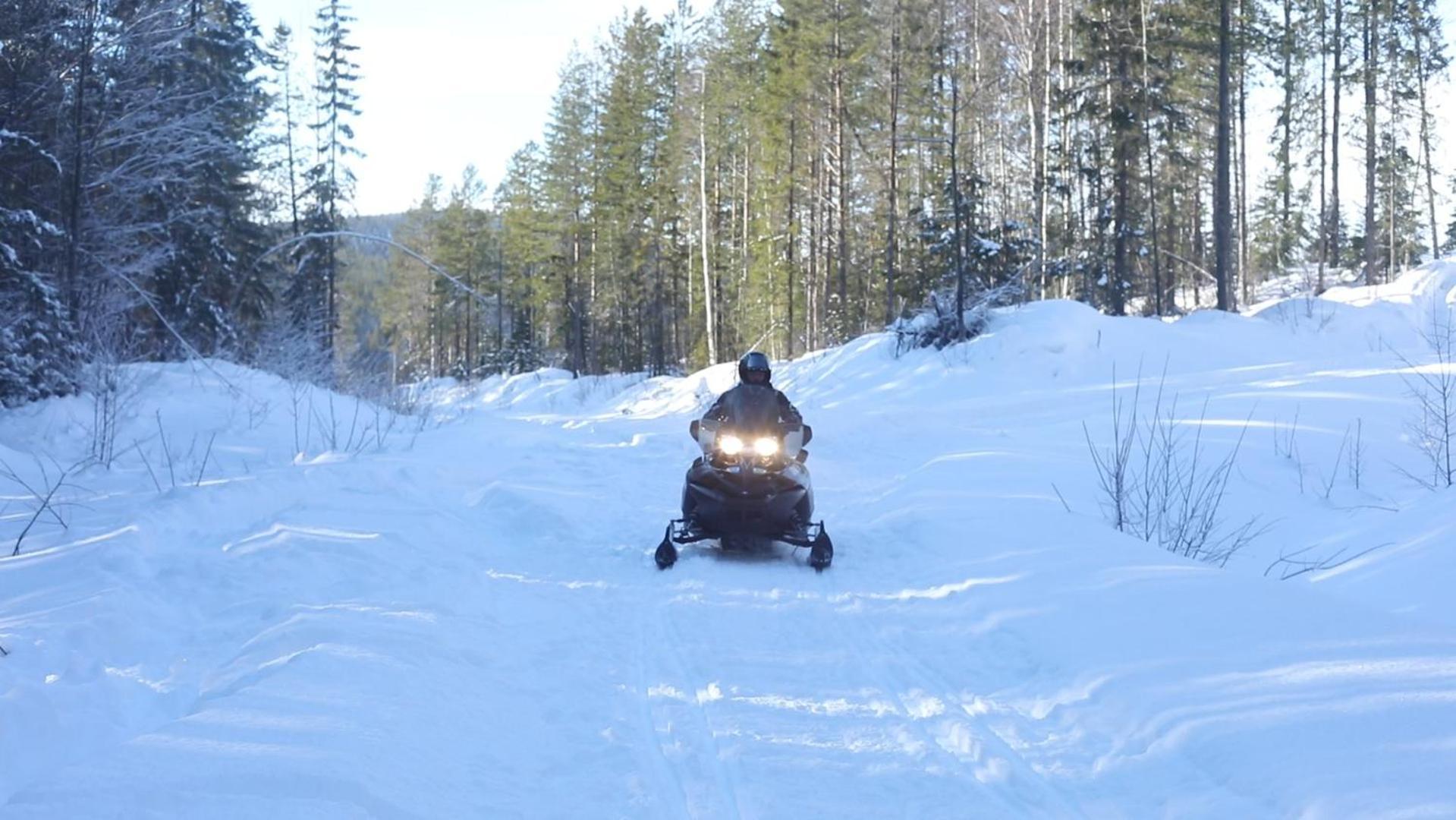 Cozy Stuga - Mountain View Ramsele Zewnętrze zdjęcie
