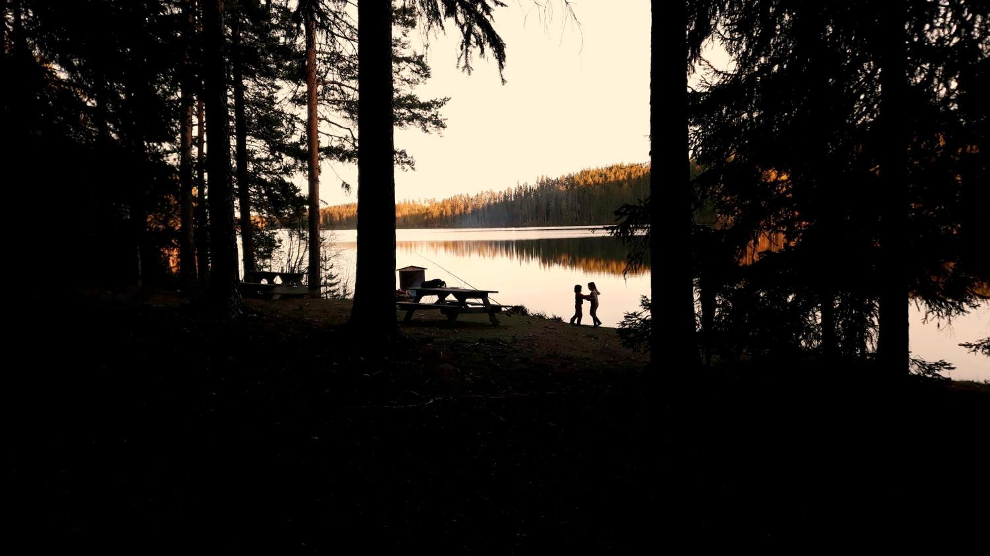 Cozy Stuga - Mountain View Ramsele Zewnętrze zdjęcie