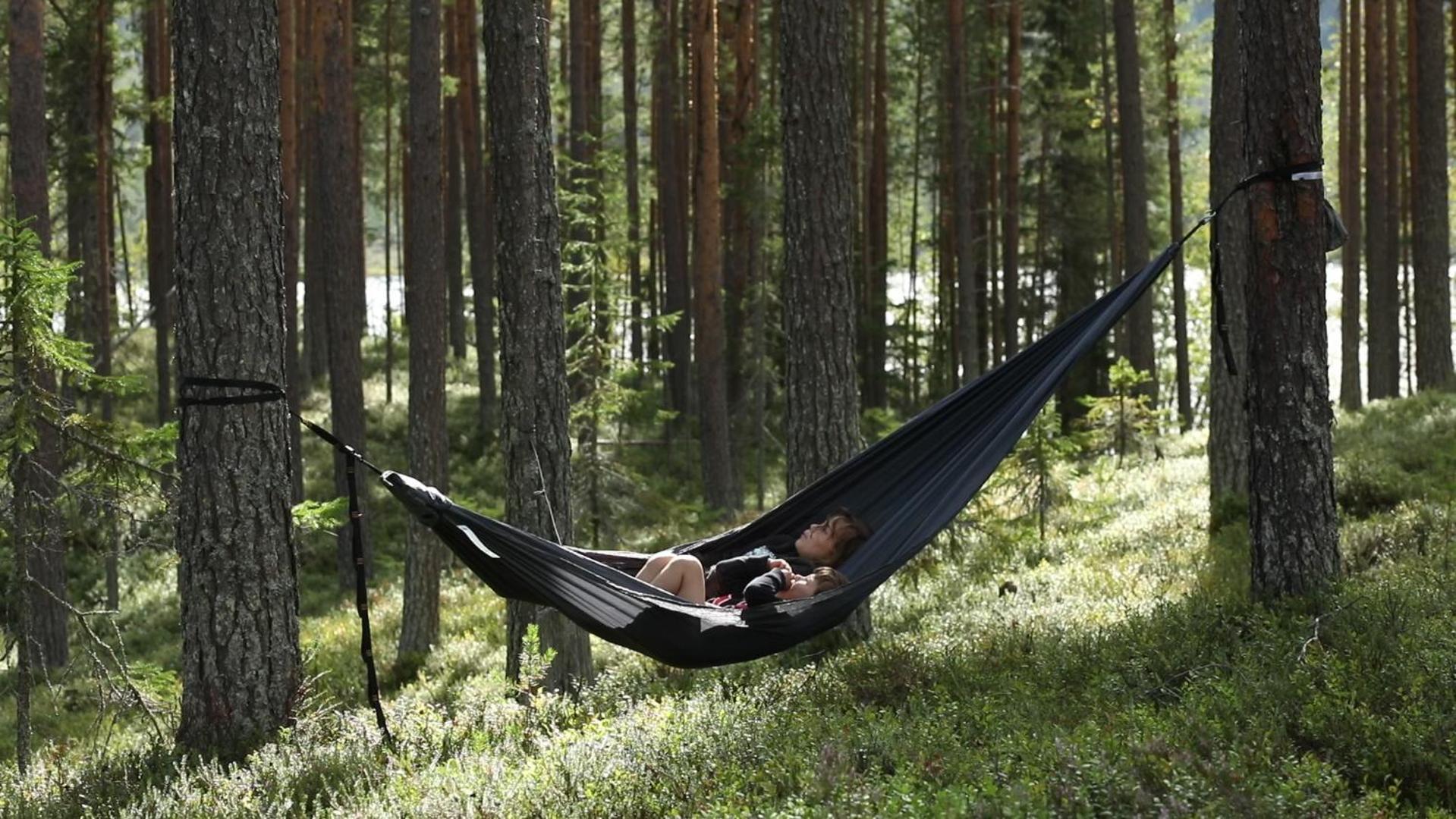 Cozy Stuga - Mountain View Ramsele Zewnętrze zdjęcie